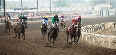 edmonton horse races
